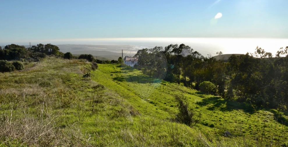 Terreno para Venda em Alcabideche Foto 9