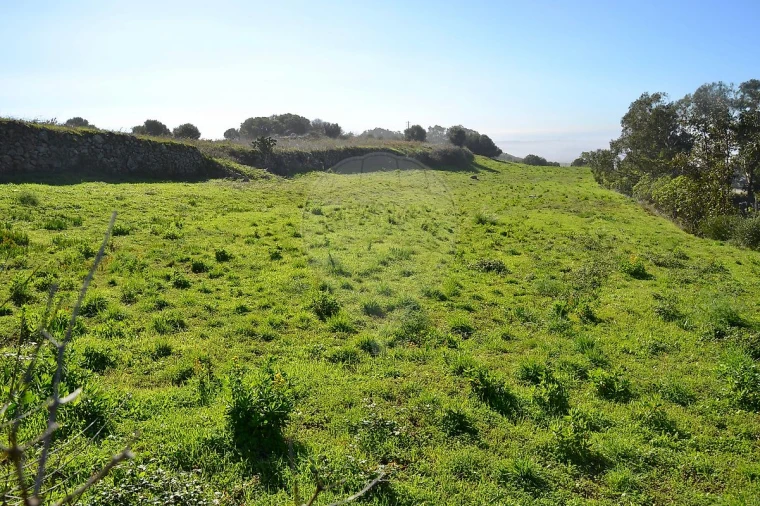 Terreno para Venda em Alcabideche Foto 10
