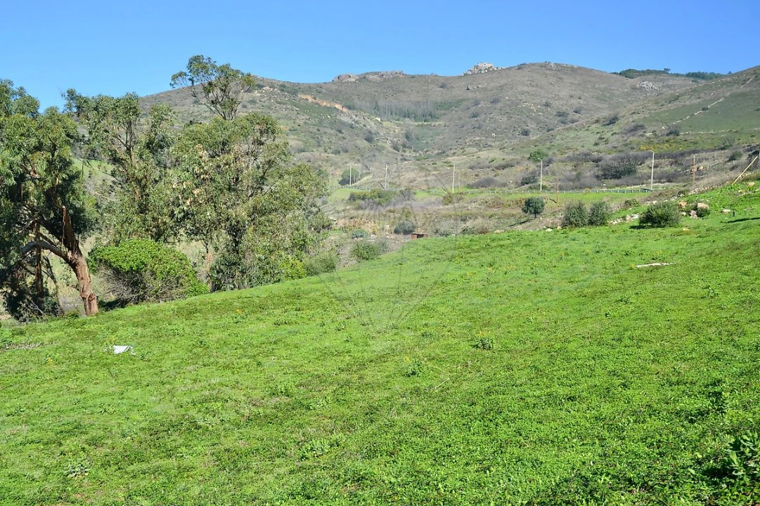 Terreno para Venda em Alcabideche Foto 7