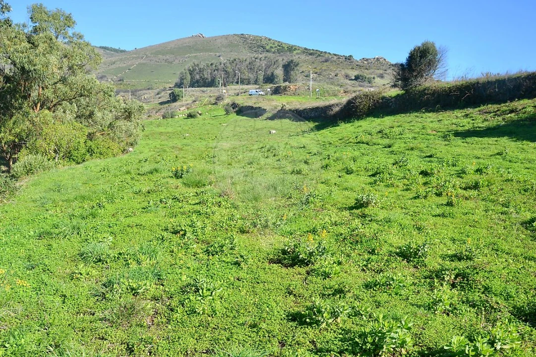 Terreno para Venda em Alcabideche Foto 14