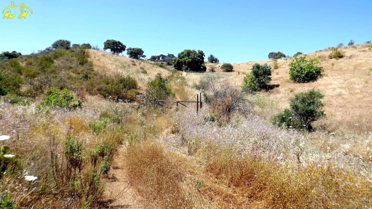 Terreno Agricola ou Rústico para Venda em Castro Marim Foto 13