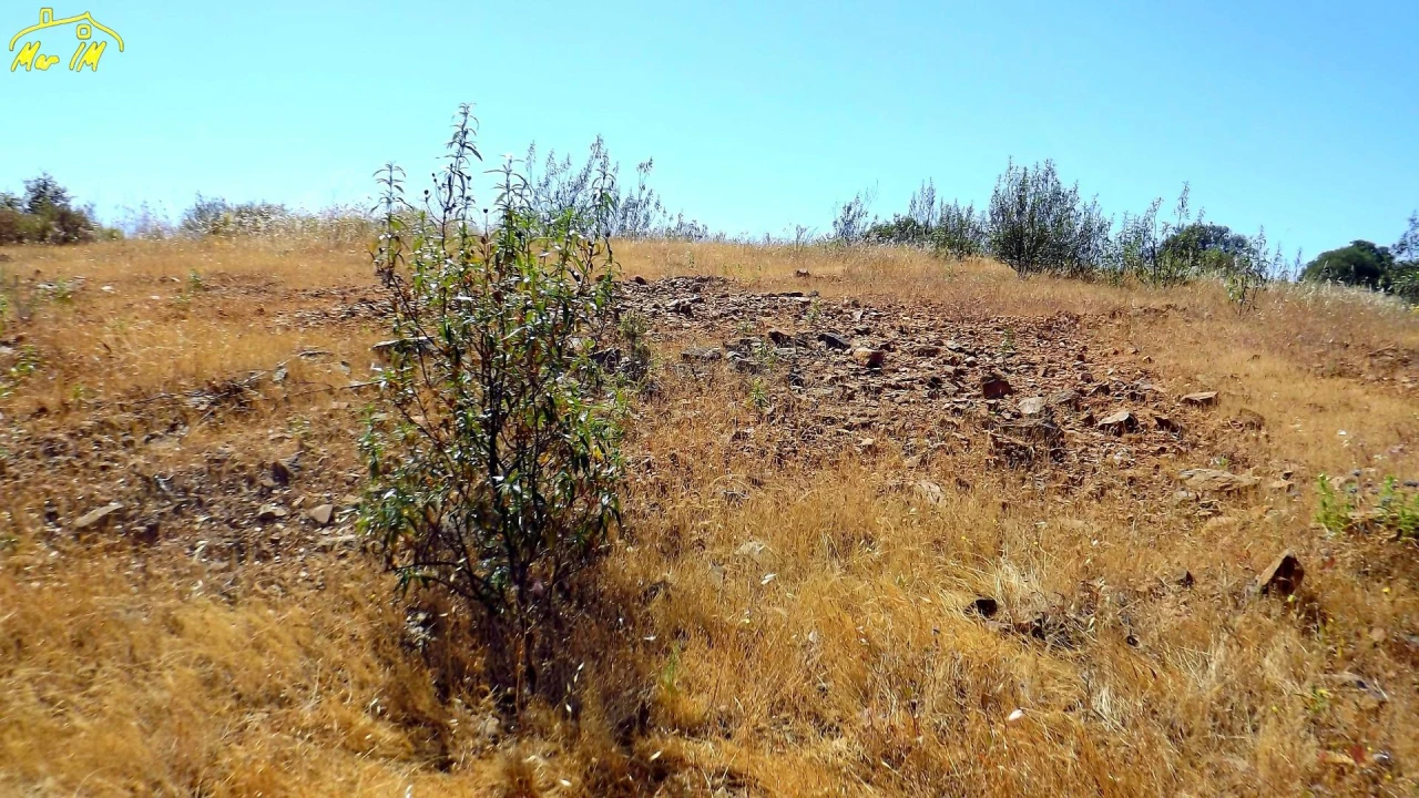 Terreno Agricola ou Rústico para Venda em Castro Marim Foto 34
