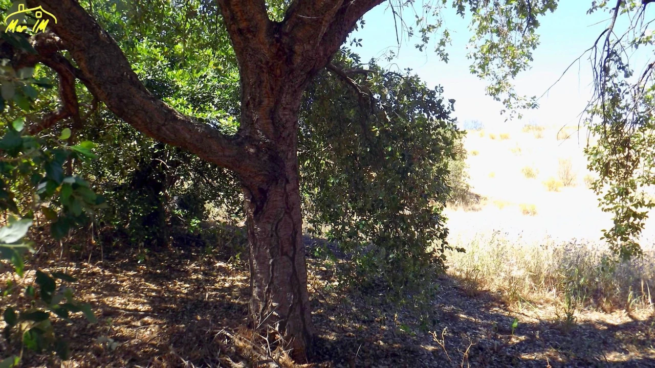 Terreno Agricola ou Rústico para Venda em Castro Marim Foto 49