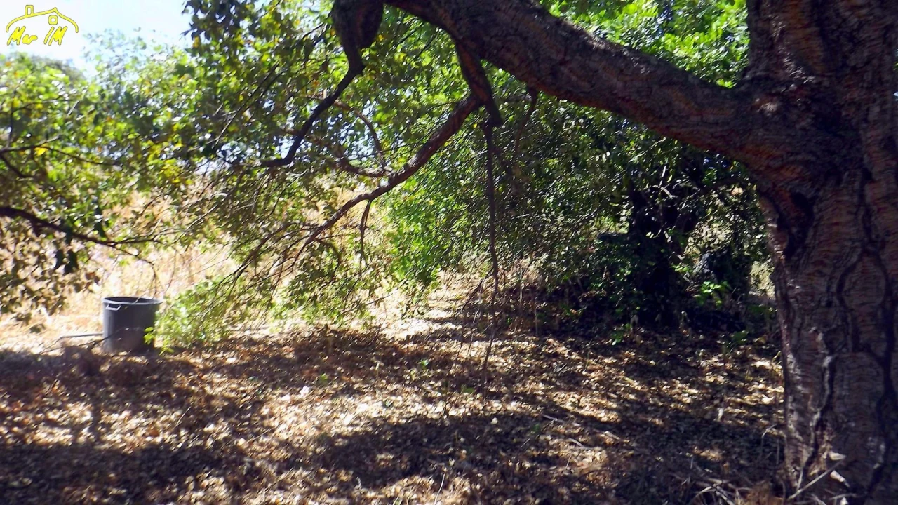 Terreno Agricola ou Rústico para Venda em Castro Marim Foto 50