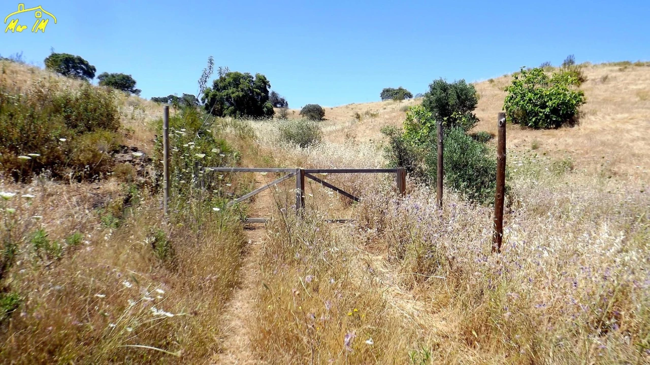 Terreno Agricola ou Rústico para Venda em Castro Marim Foto 7