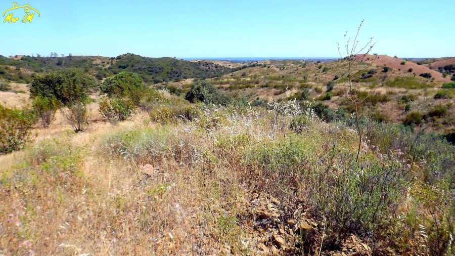 Terreno Agricola ou Rústico para Venda em Castro Marim Foto 26