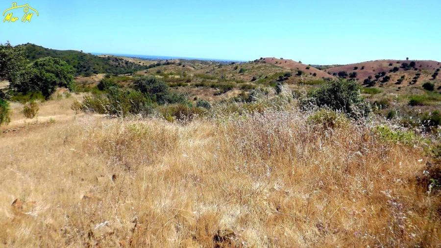 Terreno Agricola ou Rústico para Venda em Castro Marim Foto 28