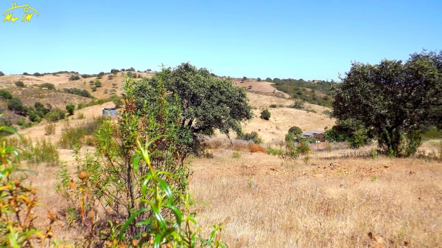 Terreno Agricola ou Rústico para Venda em Castro Marim Foto 29