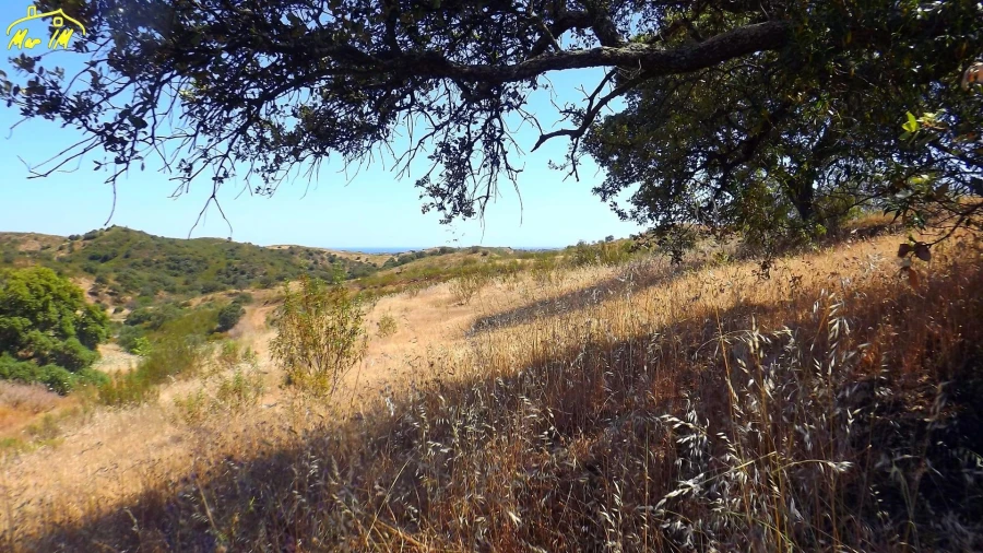 Terreno Agricola ou Rústico para Venda em Castro Marim Foto 36