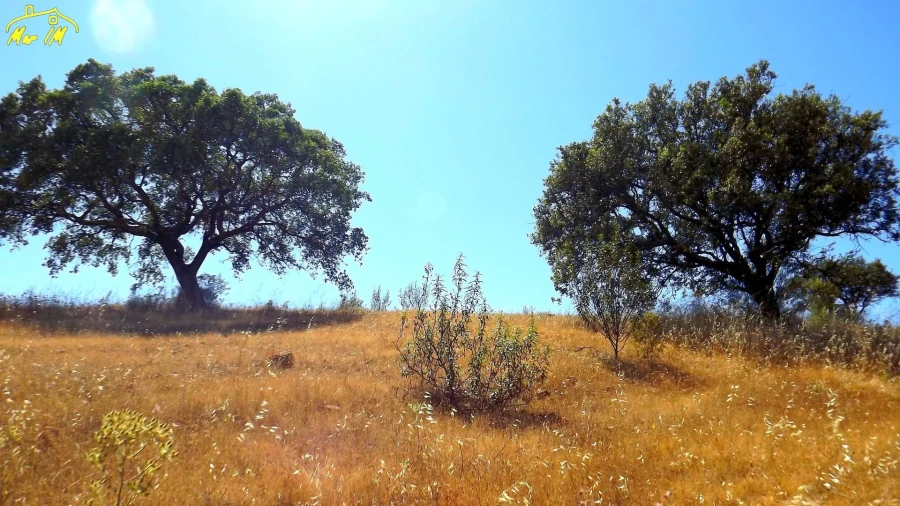 Terreno Agricola ou Rústico para Venda em Castro Marim Foto 41
