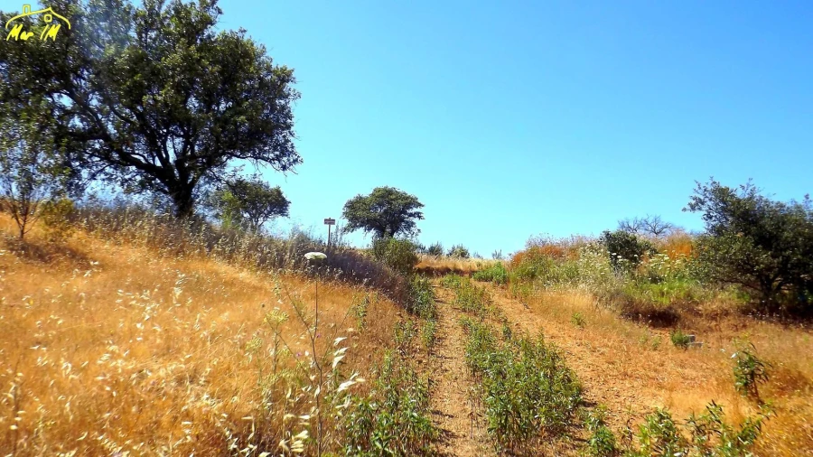 Terreno Agricola ou Rústico para Venda em Castro Marim Foto 42