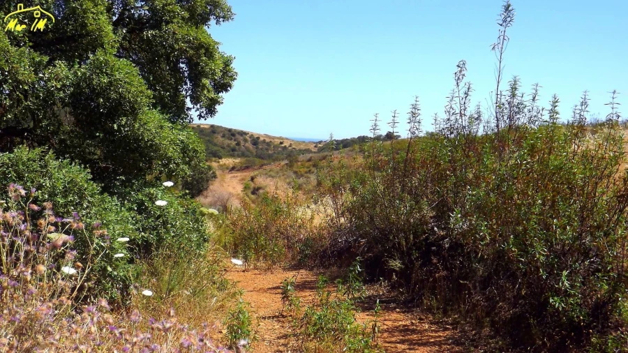 Terreno Agricola ou Rústico para Venda em Castro Marim Foto 45