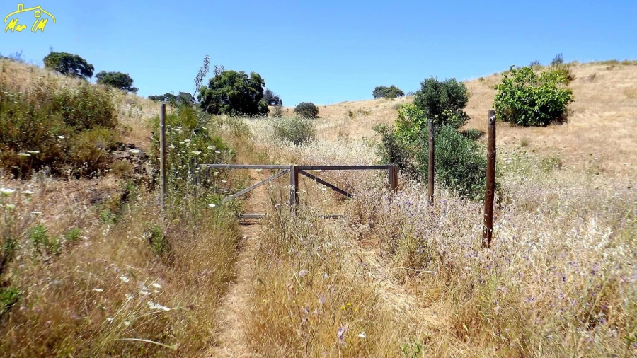 Terreno Agricola ou Rústico para Venda em Castro Marim Foto 7