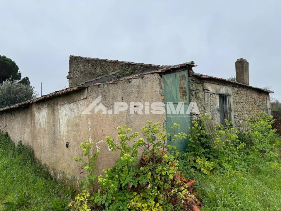 Terreno para Venda em Castelo Branco Foto 12
