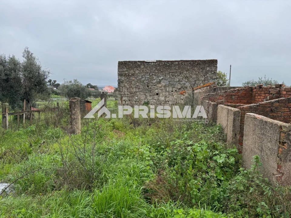 Terreno para Venda em Castelo Branco Foto 8