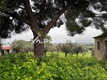 Terreno para Venda em Castelo Branco