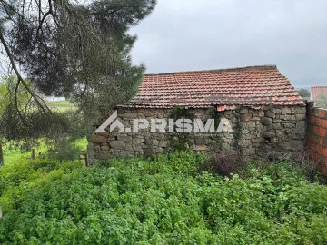 Terreno para Venda em Castelo Branco