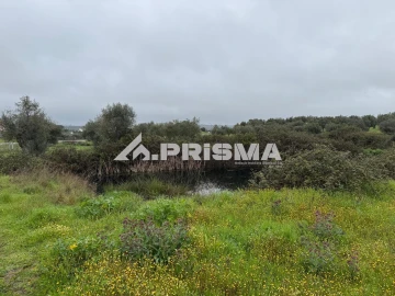 Terreno para Venda em Castelo Branco