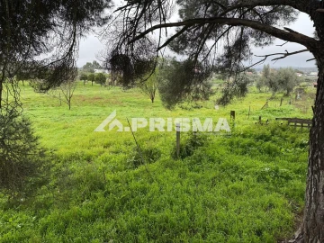 Terreno para Venda em Castelo Branco