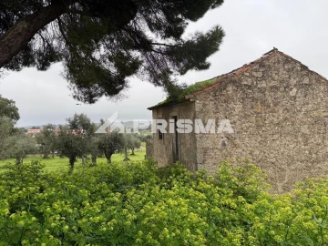Terreno para Venda em Castelo Branco