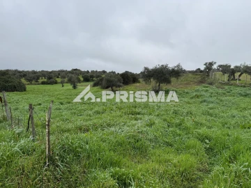 Terreno para Venda em Castelo Branco