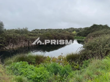 Terreno para Venda em Castelo Branco