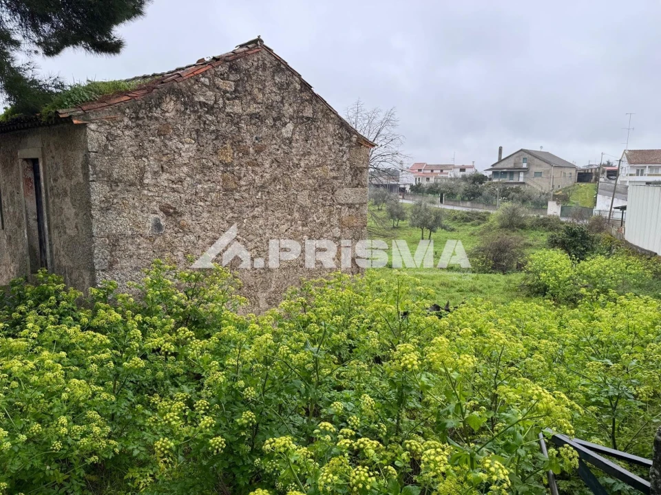 Terreno para Venda em Castelo Branco Foto 4