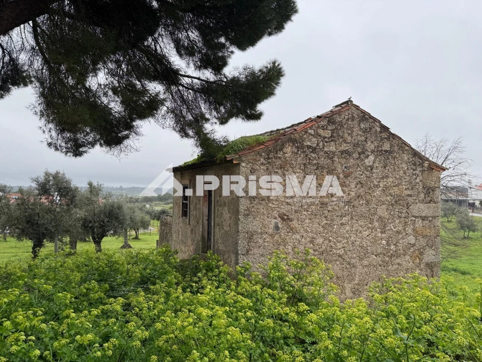 Terreno para Venda em Castelo Branco Foto 5