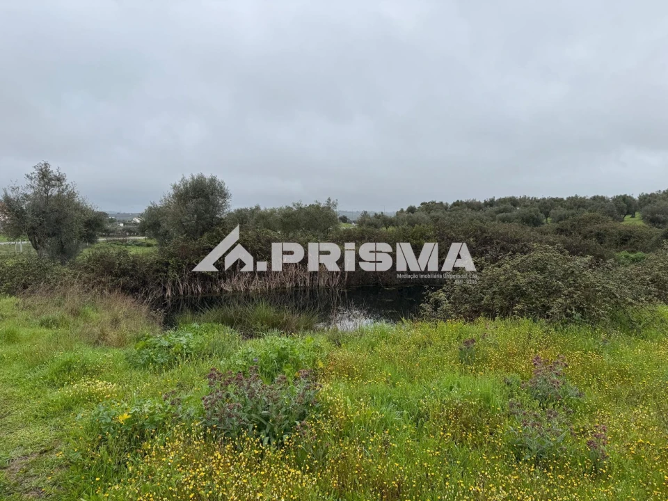 Terreno para Venda em Castelo Branco Foto 15