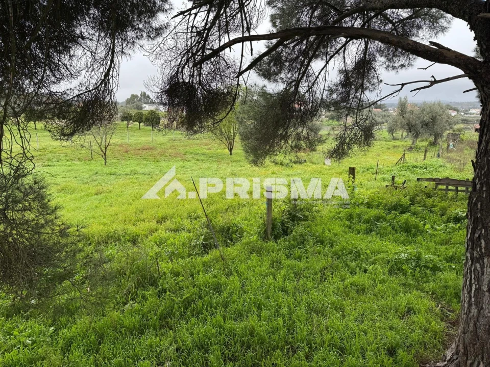 Terreno para Venda em Castelo Branco Foto 6