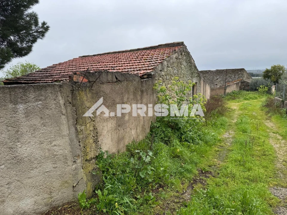 Terreno para Venda em Castelo Branco Foto 9