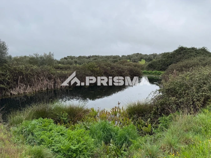 Terreno para Venda em Castelo Branco Foto 16