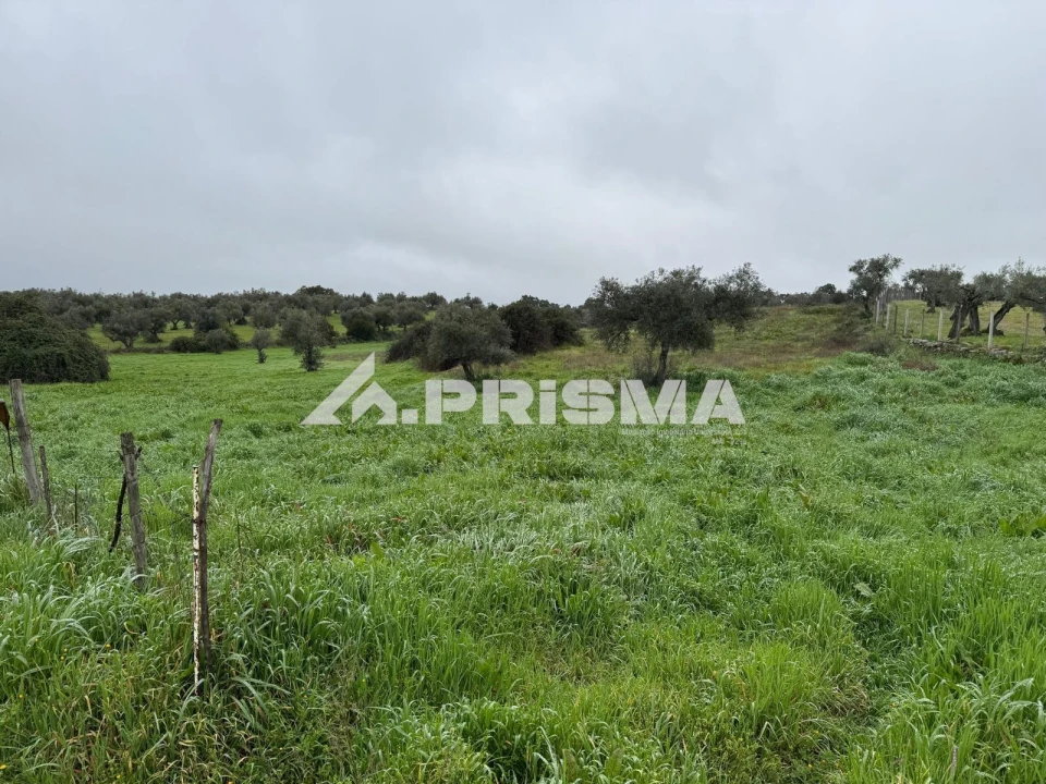 Terreno para Venda em Castelo Branco Foto 11