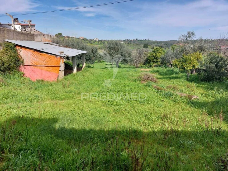 Quinta T3 para Venda em Madalena e Beselga Foto 2