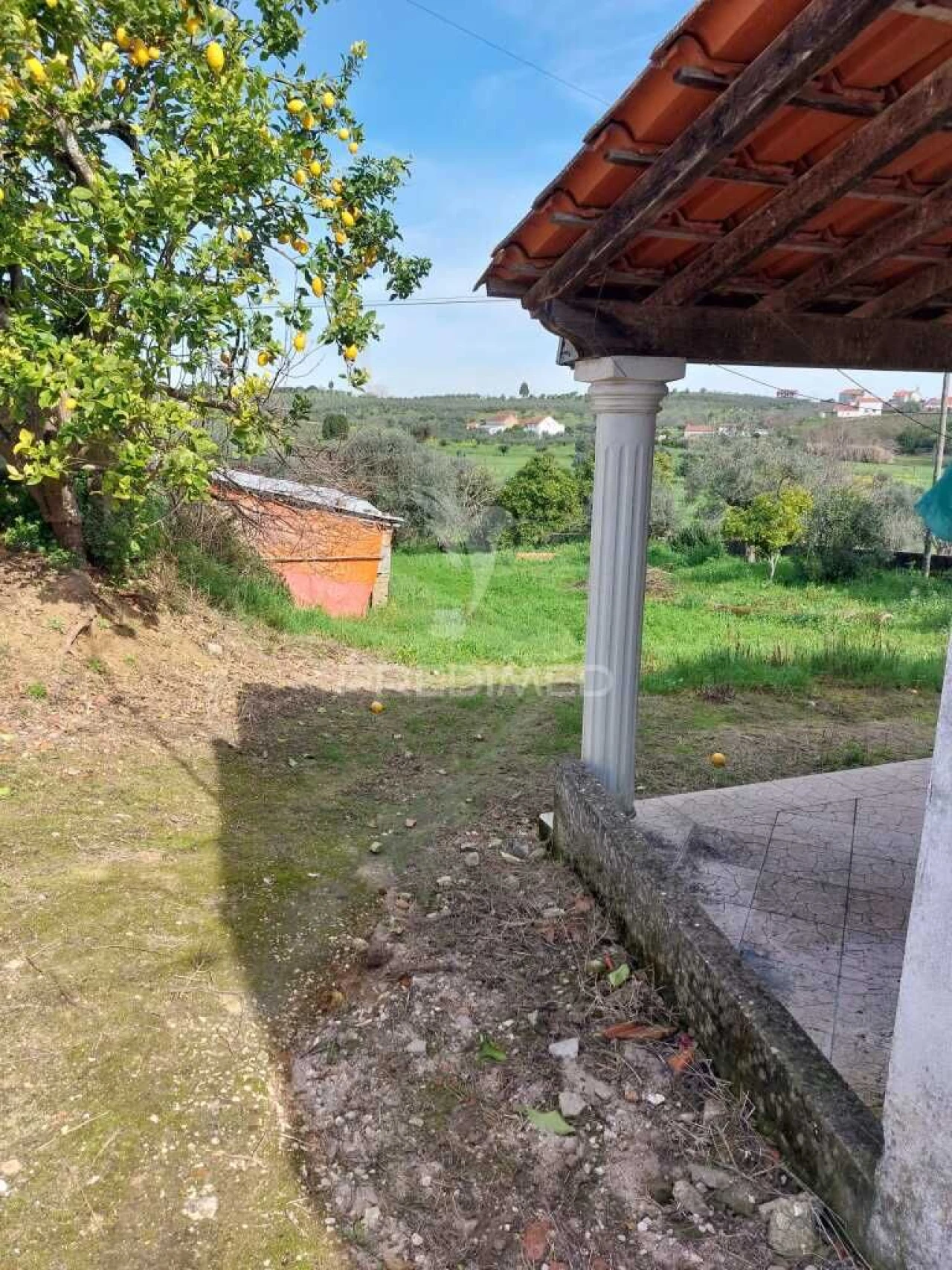 Quinta T3 para Venda em Madalena e Beselga Foto 17