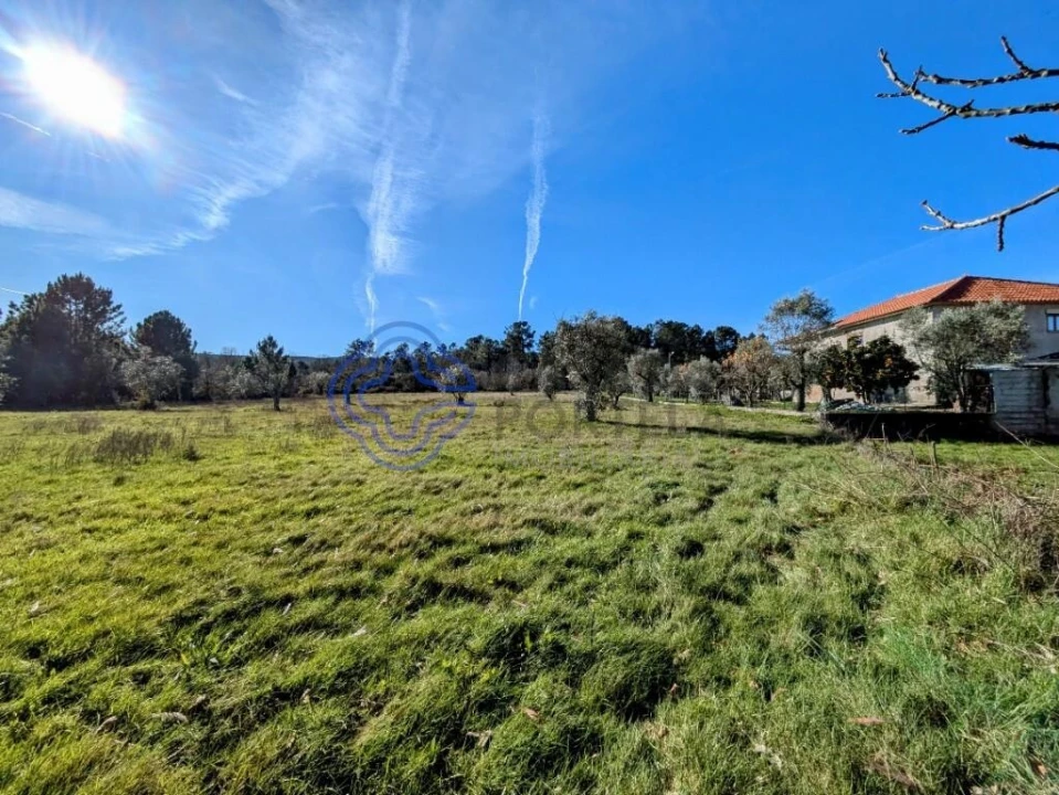 Terreno para Venda em Tavares (Chãs, Várzea e Travanca) Foto 15
