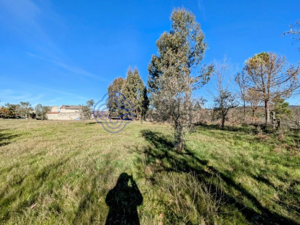 Terreno para Venda em Tavares (Chãs, Várzea e Travanca) Foto 10
