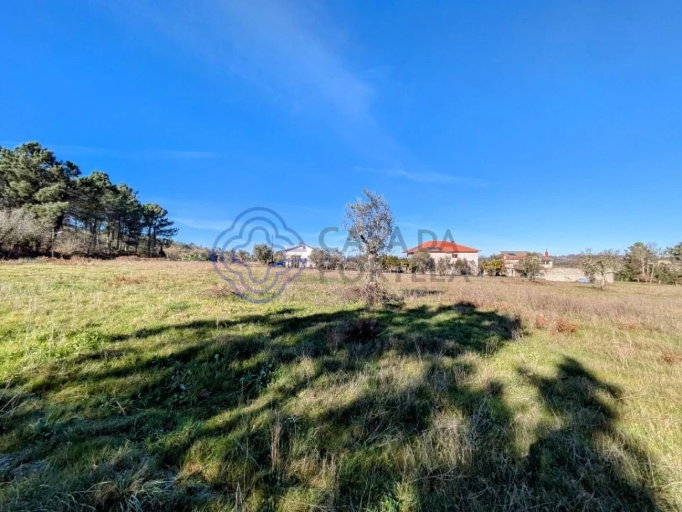 Terreno para Venda em Tavares (Chãs, Várzea e Travanca) Foto 7