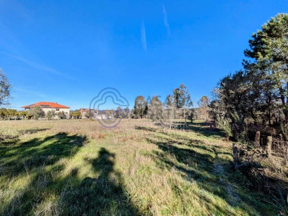 Terreno para Venda em Tavares (Chãs, Várzea e Travanca) Foto 8
