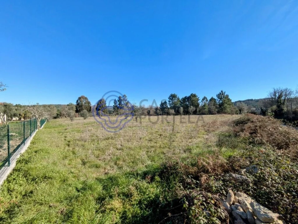Terreno para Venda em Tavares (Chãs, Várzea e Travanca) Foto 3