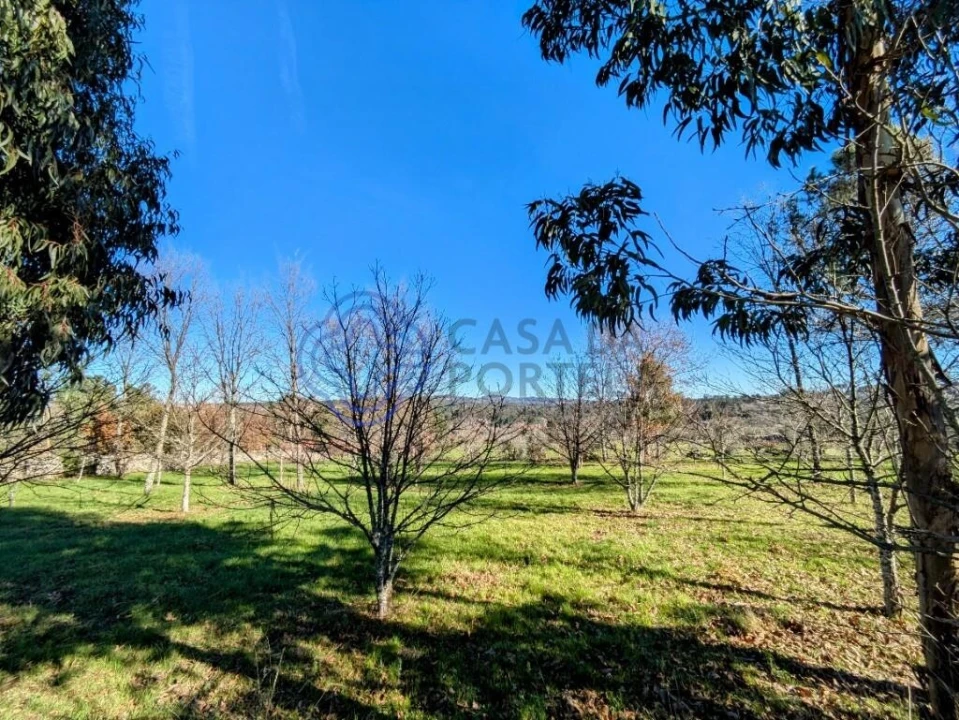 Terreno para Venda em Tavares (Chãs, Várzea e Travanca) Foto 13