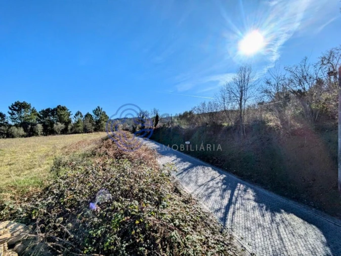 Terreno para Venda em Tavares (Chãs, Várzea e Travanca) Foto 4