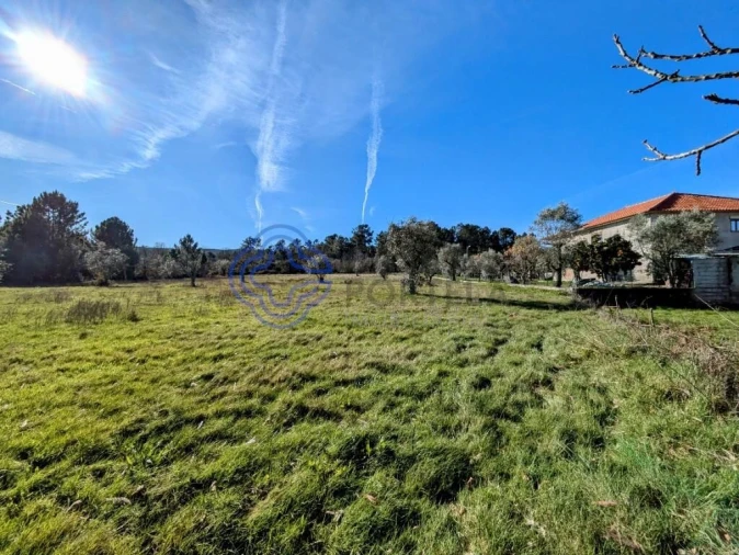 Terreno para Venda em Tavares (Chãs, Várzea e Travanca) Foto 15