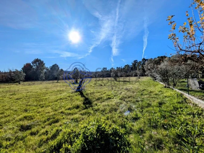 Terreno para Venda em Tavares (Chãs, Várzea e Travanca) Foto 17