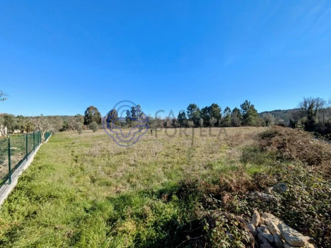 Terreno para Venda em Tavares (Chãs, Várzea e Travanca) Foto 3
