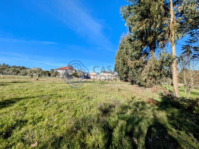 Terreno para Venda em Tavares (Chãs, Várzea e Travanca) Foto 11