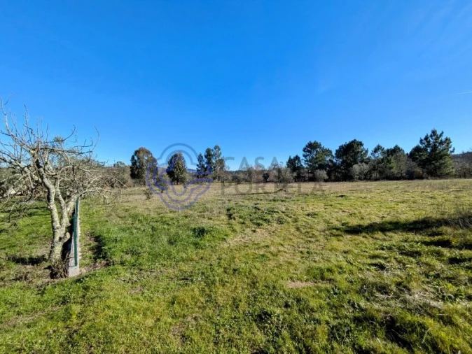 Terreno para Venda em Tavares (Chãs, Várzea e Travanca) Foto 1