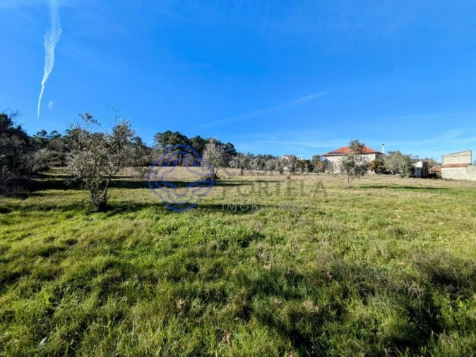 Terreno para Venda em Tavares (Chãs, Várzea e Travanca) Foto 12