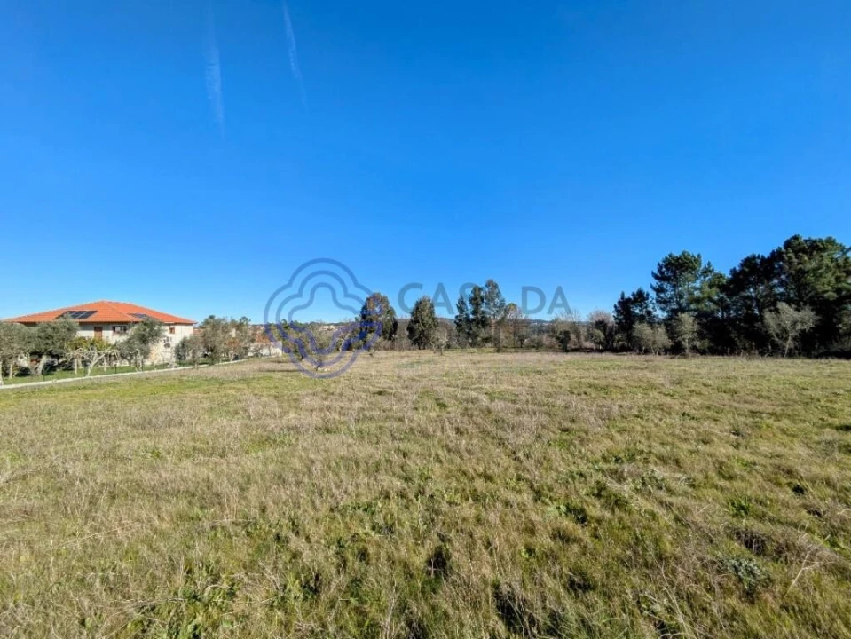 Terreno para Venda em Tavares (Chãs, Várzea e Travanca) Foto 5