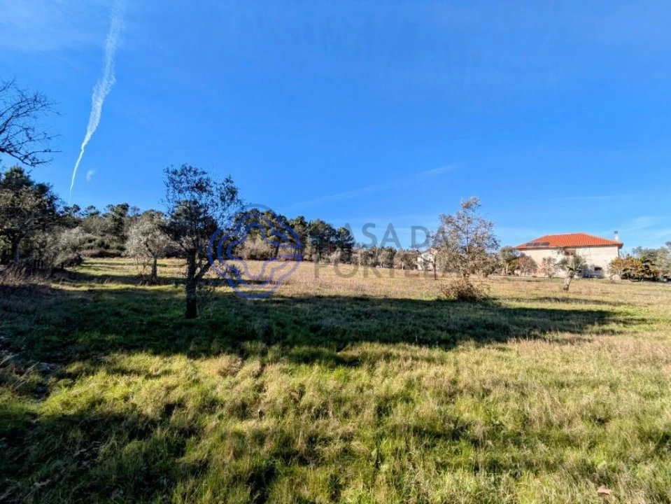 Terreno para Venda em Tavares (Chãs, Várzea e Travanca) Foto 9